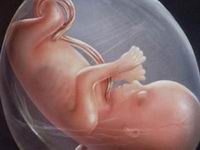 试管婴胚胎D6南昌康健医院科普：什么是试管婴儿？什么是人工授精？