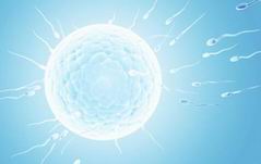 江西省首例冷冻试管促排雌二醇与卵泡卵子试管婴儿妊娠成功