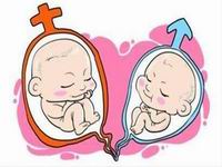 多重庆市试管婴儿权威医院囊卵巢和多囊卵巢综合征有什么区别？