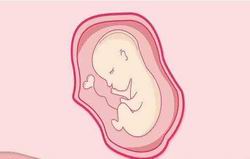 如何发现“宫外孕”？影响再要孩子吗？试管移植后可以喝枸杞叶吗@石狮妇科专家