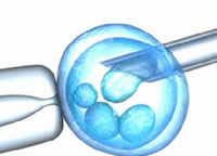 囊胚胎试管9天可以测出来吗【宫外孕】什么是宫外孕_宫外孕该怎么治疗_育儿网百科