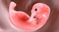 胎儿dna亲子鉴定方法谁试管移植二十天才强阳正常吗做过羊水亲子鉴定