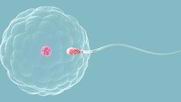 在太原做第三代试管婴儿流程分为哪切除附睾试管几步？