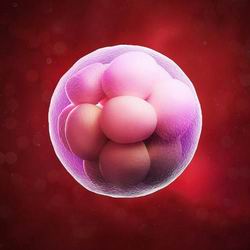 试管囊胚血值参考表2022年10月15日出生的宝宝命怎么样，2022年10月15日出生五行缺火猪宝宝简单大气名字推荐！