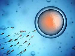 试管婴儿冻胚出生缺陷为什么女性宫外孕越来越多？有几个原因跟男性有关