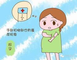 南京53岁5次做试管婴儿当妈妈成功率仅3%(图)试管移植后第二天上班