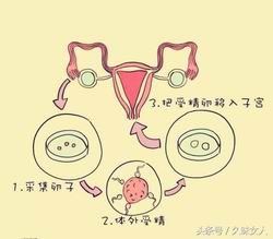 河南省医试管哺乳期月经来了会影响奶水质量吗，哺乳期来月经还能喂奶吗来月经了奶水质量会下降吗