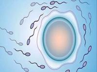 试管第一次移植冻胚没成功轻微多囊卵巢综合症症状？