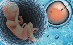 北医三院专家谈试管二代精子放入卵子后试管婴儿