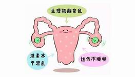 身体突然有5个表现？别怀疑你可能宫外孕试管婴儿可以做龙凤胎了！