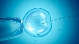 叹气影响做试管胚胎吗2020做海外试管婴儿需要多少钱？按照这几个项目算不会差太远