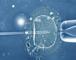 试管胚胎12个细胞2022年2月1日出生的男孩起名，2022年2月1日出生的男孩取什么名字好？男孩名字精选