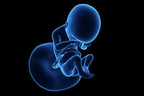 美国试管婴儿论坛2022年6月16日出生的宝宝五行缺什么，2022年6月16日出生的男孩五行缺水该怎么取名字？名字推荐