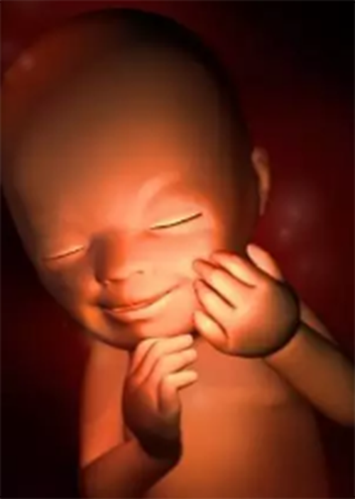 2试管婴儿怎么减药022年12月27日出生男宝宝取名，2022年12月27日出生男孩缺火取名最吉利的名字