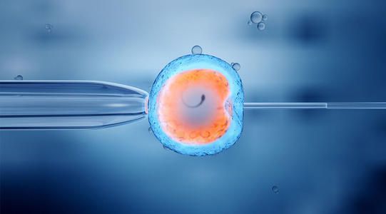 试管婴儿哪个医院最便宜试管移植胚胎黄金72小时
