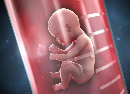 有积液试管婴儿私人可以如何验DNA做亲子鉴定吗？能的话要去什么地方做呢？