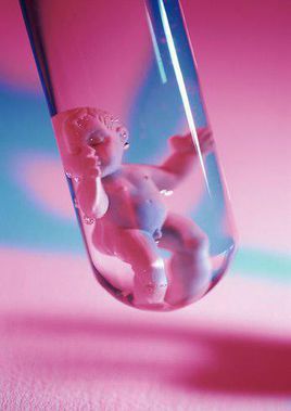 俏红颜面膜试管怎么样初乳会不会引起新生儿黄疸，初乳会不会引起新生宝宝患上黄疸？黄疸有哪些特点？