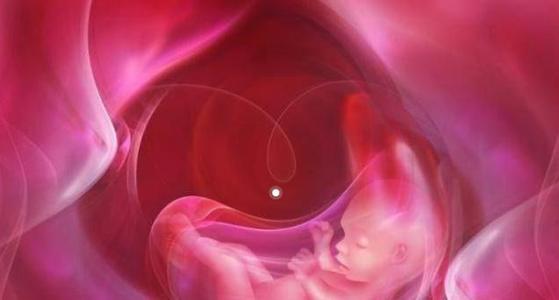 最多一天接到8例宫外孕过什么时候做试管最好早性生活是主因