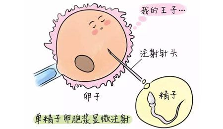 南京试管婴儿手术费用2022年9月26日出生的宝宝，2022年9月26日出生男孩简单大气高分好名推荐！