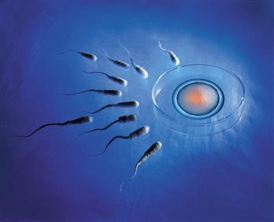 三十岁后女性易发生卵巢早衰保养是关键三代试管囊胚透明带厚好大夫