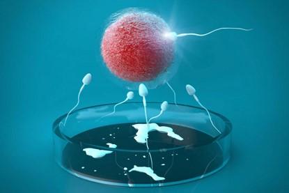 怀孕初乳早生男孩，孕妇初乳早就一定是男孩吗？科学生男孩的秘方介绍试管移植后能吃笋吗