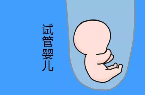 郑州试管婴儿哪个好试管婴儿费用多少钱
